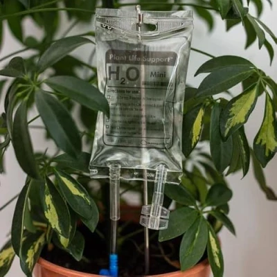 Image de Bubblegum Stuff Mini dispositif d&#039;irrigation goutte à pour plantes d&#039;intérieur Système d&#039;arrosage automatique 3,5 onces liquides Arroseur de
