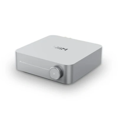 Image de WiiM Amp : Amplificateur de Streaming Multiroom Compatible avec AirPlay, Google Cast, Alexa HDMI, Contrôle Vocal Diffusez Depuis Spotify, Amazon Music, Tidal et Plus Argent
