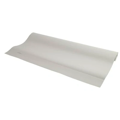 Image de Exacompta Réf. 41652E Carton de 5 recharges papier FOREVER pour tableaux conférence recyclé 80 g/m2 20 feuilles microperforées imprimées recto réglure 25 x mm 65 100 cm