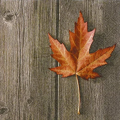 Image de Lot de 20 serviettes en papier Feuilles d&#039;automne / automne bois feuille d&#039;érable 33 x cm