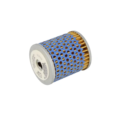 Image de Filtre à carburant HENGST FILTER E21K