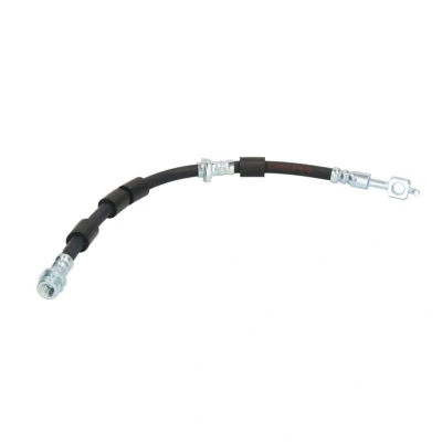 Image de DELPHI LH7024 Flexible De Frein 398 Banjo
