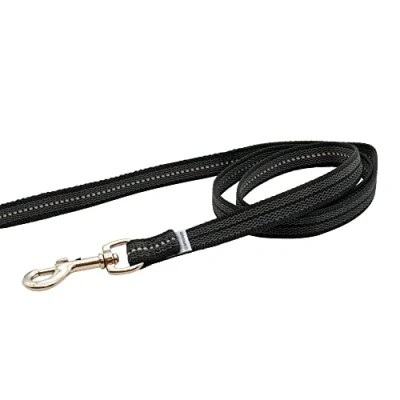 Image de Herm Sprenger Laisse en nylon caoutchouté 2 m