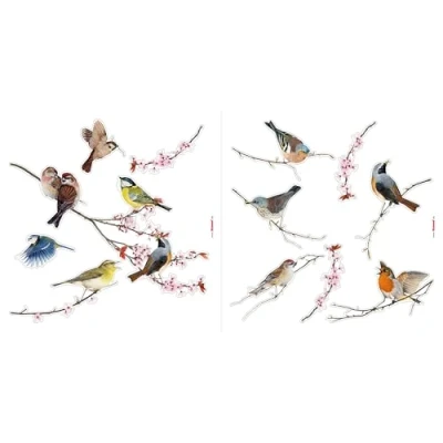 Image de Sticker Fenêtre, 31cm x 31cm, Oiseaux
