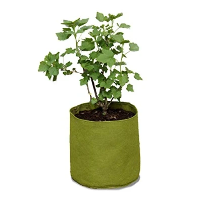 Image de Tierra Garden Haxnicks VIG080101 Pots « Vigo » Vert, 18 x 20 cm Vigoroot L Green