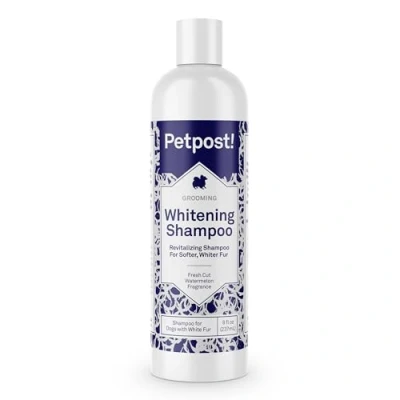 Image de Petpost Shampooing blanchissant pour Chiens Le Meilleur Traitement Chien à Fourrure Blanche parfumpastèque Maltais, Shih Tzu, Bichon Frise 474 ML
