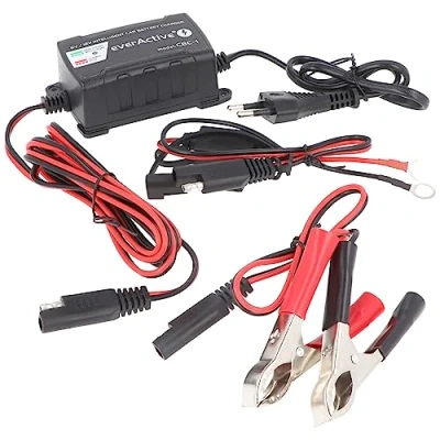 Image de everActive CBC 1 Pile Ladegeät Chargeur de Batterie Microprocesseur 6 V Voiture 12
