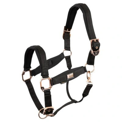Image de BR Licol Or Rose Shetland Noir