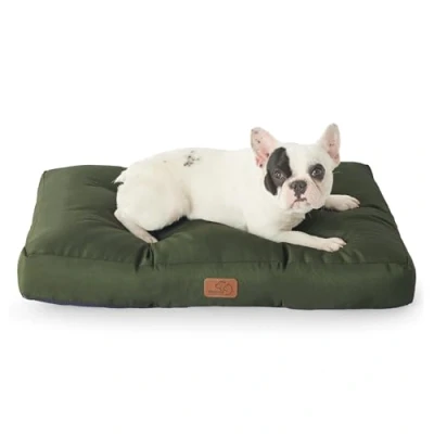 Image de Bedsure Lit imperméable pour Chien de Taille Moyenne Lavable, en Tissu Oxford Grands Chiens, résistant à l&#039;eau, Coussin Plat Petit Chien, Vert, 76 x 50 10 cm