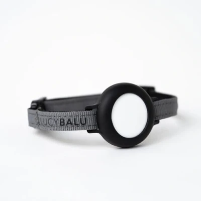 Image de LucyBalu® Collier AirTag pour Chat en Nylon résistant Anti étranglement Traceur GPS Compatible avec Apple Taille réglable Sable