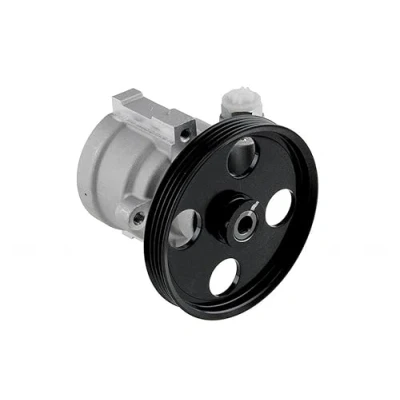 Image de NTY SPW RE 013 Pompe De Direction Assistée hydraulique sans réservoir RENAULT: Kangoo I Express, I, CLIO 2, DACIA: Duster SUV, Sandero