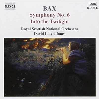Image de Arnold Bax : Symphonie n 6 Into the twilight