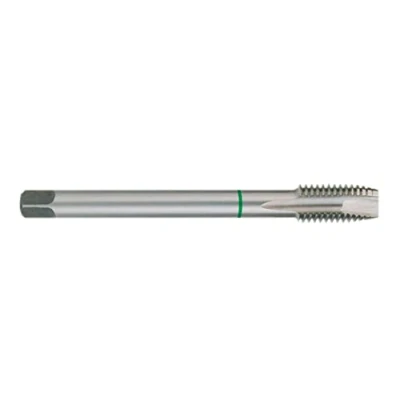 Image de RUKO 232160E Taraud 110.0, 25 M16x2 2