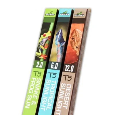 Image de Reptiles PLANET Desert Sunlight 12.0 Tube Fluorescent T5 pour 8 W / 29 cm