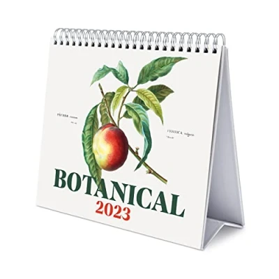 Image de Grupo Erik Calendrier de Bureau 2023 Botanical 12 Mois 20 x 18 cm, Mensuel en Français, Janvier à Décembre Certifié FSC, avec Support Rigide, CS23025