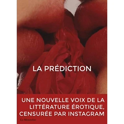 Image de La prédiction Livre d’occasion Bon