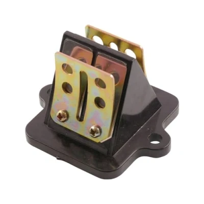 Image de 2EXTREME boîte à clapets standard compatible pour Peugeot Citystar, Django, JetForce, Kisbee, Ludix 2, New Vivacity 50cc