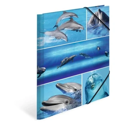 Image de HERMA Chemises à élastique Animaux avec motif Dauphins, A4, carton robuste, impression intérieure, 1 porteé de chemise