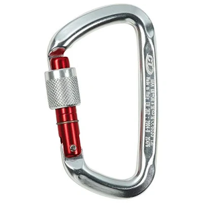 Image de Climbing Technology D Shape SG Mousqueton en avec Bague Argent