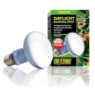 Image de Exo Terra Ampoule Daylight Basking Spot, 100 W