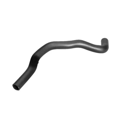 Image de THERMOTEC DW1003TT Durite De Refroidissement inférieur Caoutchouc NISSAN: Almera II 3/5 portes, 2 Limousine