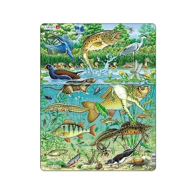 Image de Larsen FH19 Écosystème européen des étangs d&#039;eau, Puzzle Cadre avec de 50 pièces