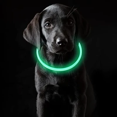 Image de Coolzon LED Collier Lumineux Rechargeable et Longueur Ajustable, avec 3 Modes d&#039;éclairage, Imperméable, pour Chien Chat Petit Moyen Grand, Vert