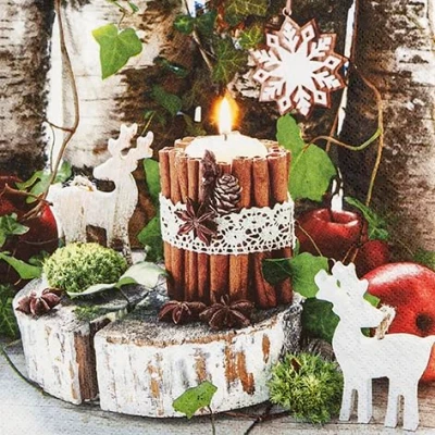 Image de Home Fashion 20 petites Serviettes de cocktail bâtons cannelle Noël autour des bougies comme décoration table. en papier à motifs 25 x cm également pour le découpage et la techn