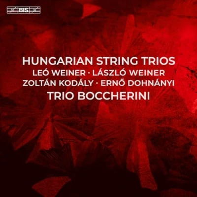 Image de Hungarian String Trios