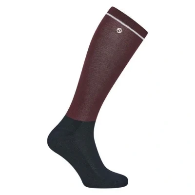 Image de Chaussettes équitation femme HV Polo Alisa