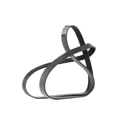 Image de DAYCO 6PK1733 Courroie Poly V 1733,0 6 BMW: 3 Berline, Touring, Coupe, AUDI: A4 B5 A6 C5 Avant, TOYOTA: Yaris I 3/5 portes