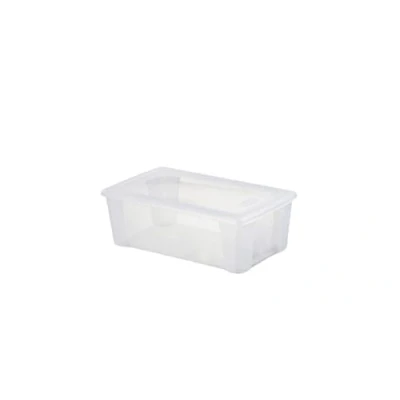 Image de Scatola multiuso visualbox 32 x 19 11 13050
