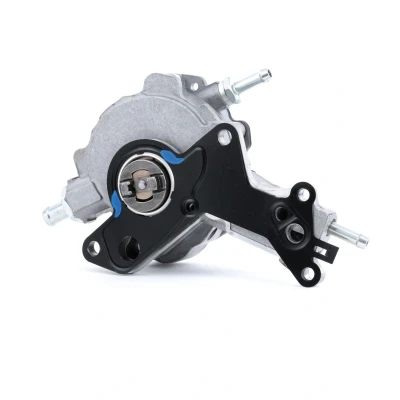 Image de RIDEX 387V0011 Pompe à Vide VOLKSWAGEN: Passat B5 GP Berline, Golf 4, Break, AUDI: A4 B6 A6 C5 Avant