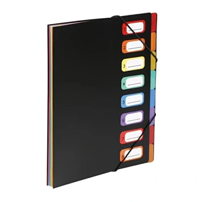 Image de VIQUEL Trieur RAINBOW 8 compartiments à soufflet en polypro 5/10, extérieur noir intérieur multicolore