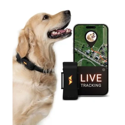 Image de PAJ GPS pour Chien Alarme de Fugue + Suivi en Direct Mode d&#039;économie Batterie près routeur Signaux sonores Lumières LED Étanche (IP67) s&#039;adapte à Tous Les Colliers, Noir