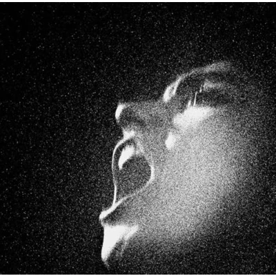 Image de Al An/Gatefold/180g/Edt Lim Vert Transparent/MP3 Inclus