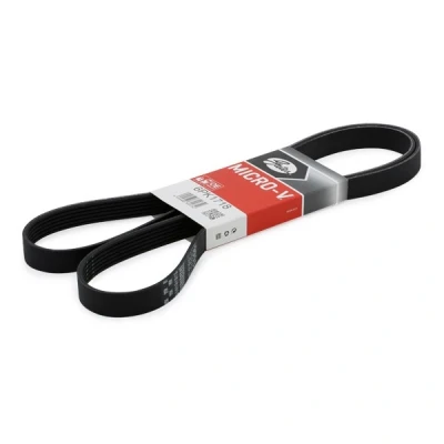 Image de GATES 6PK1718 Courroie Poly V 1718 6 Polyester, EPDM (éthylène propylène diène caoutchouc) RoadMax Value Line FORD: Tourneo Connect oscaro, mister