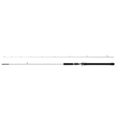 Image de Canne casting Abu Garcia Beast X2 40 130g