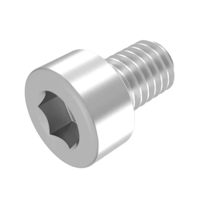Image de SECCARO Lot de 20 vis cylindriques M2 x 3 mm en acier inoxydable V2A VA A2, DIN 912 / ISO 4762, à six pans creux, filetage complet,