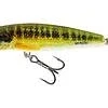 Image de Salmo Floating Minnow 7cm 6gr (diepte 1 1.5m) Type : Holo Real Gardon