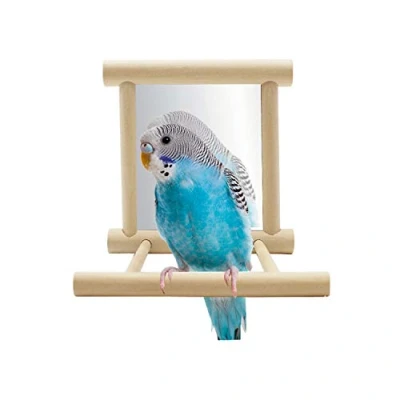 Image de Hypeety Jouet miroir avec perchoir pour perroquet, perruche, calopsitte, conure, pinson, inséparable, ara, gris du Gabon, amazon, cacatoès, perroquet (couleur aléatoire) (9,4 x 9,4 cm)