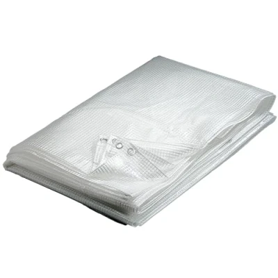 Image de WERKA PRO Bâche Transparente 300 g/m2 3 x 4 m
