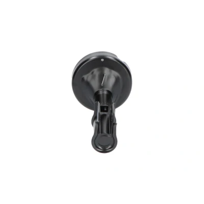 Image de KAVO PARTS SSA 10212 Amortisseur Essieu avant Pression de gaz Système bitube Jambe suspension Goujon en haut RENAULT: CLIO 2, 2 Kasten
