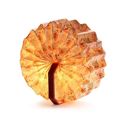 Image de Gingko Design Lampe accordéon LED en Velours, 5 Motifs Tendance et exclusifs, Cordon Inclus, Batterie Rechargeable Longue durée, câble USB C emballée dans Un Coffret Cadeau Haut de