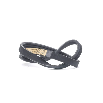 Image de RIDEX 305P0504 Courroie Poly V 576,0 3 PEUGEOT: 2008 Break, 3008 II SUV, 208 I 3/5 portes, CITROËN: DS3 C4 Cactus, C3 III