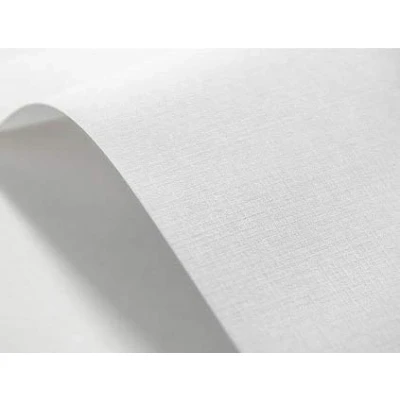 Image de Netuno 20x carton gaufré blanc effet carreau A4 210x 297 mm 246 g/m² texturé papier pour cartes de visite invitations baptême première communion mariage décorations DIY