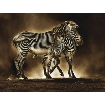 Image de Barry Goodman WDC90652 Toile Imprimée, Multicolore, 60 x 80 cm