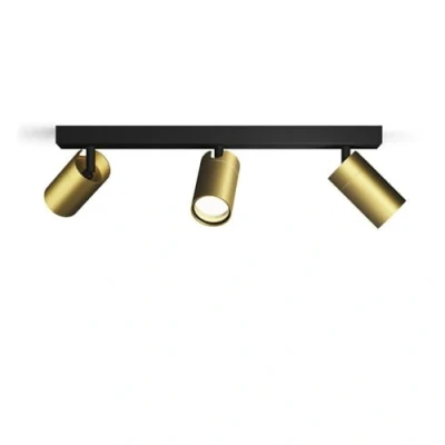 Image de Philips Idris 3 head spot, lampe GU10 non incluse, laiton, IP44, résistant à l&#039;eau