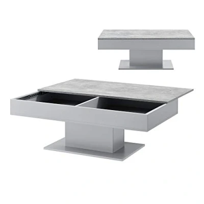 Image de [en.casa] Table Basse de Salon Stylé avec 2 Espaces Rangement Intérieurs Design Panneau Particules 40 x 110 60 cm Effet Béton Gris