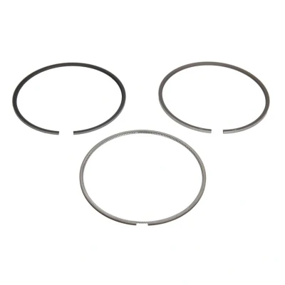 Image de Jeu de segments pistons KOLBENSCHMIDT 800110310000
